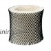 ANTOBLE 2 Pack Humidifier Filter for Holmes HWF64  Model HM1730  HM1745  HM1746  HM1750  HM2200 - Filter B - B07CYPGXGK
